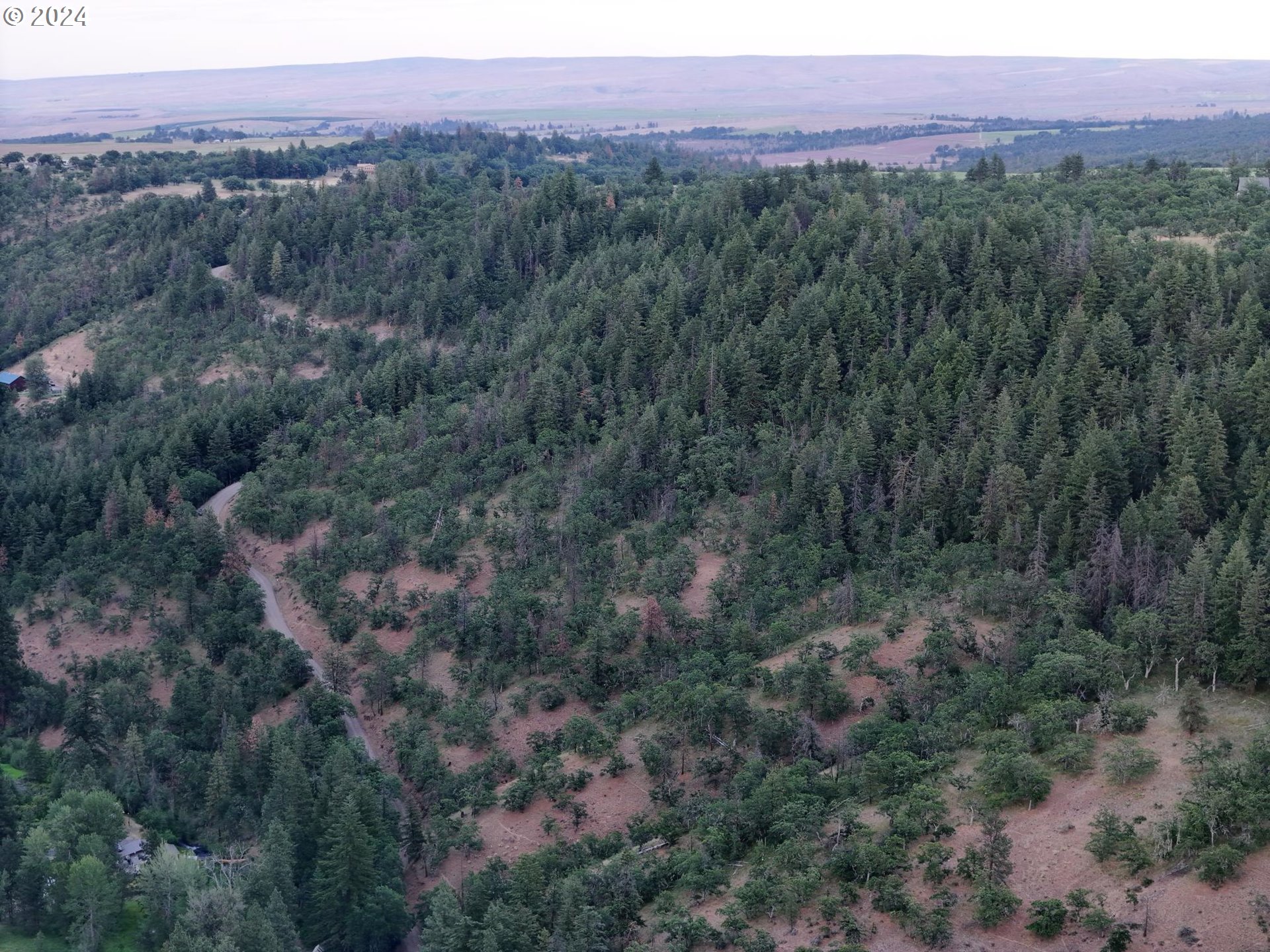 0 Taylor Grade Road Maupin, OR 97037 - Photo 15 of 21 Gallery Image 15