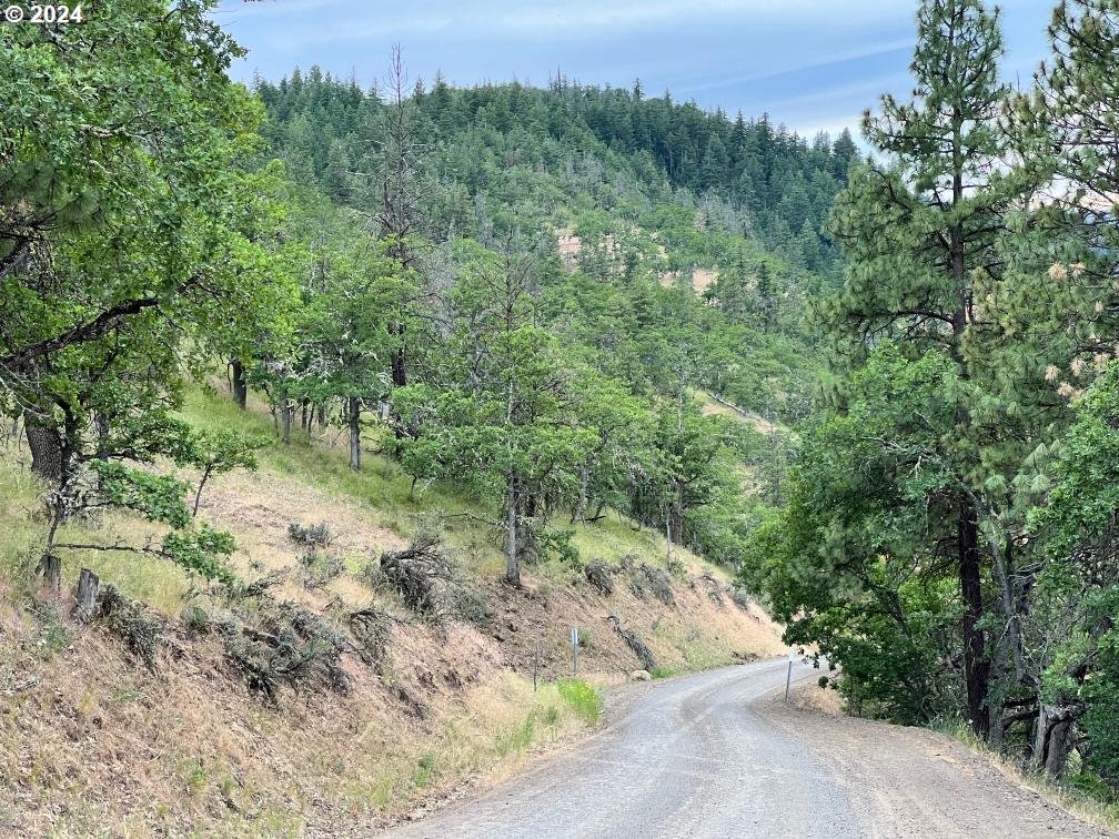 0 Taylor Grade Road Maupin, OR 97037 - Photo 16 of 21 Gallery Image 16