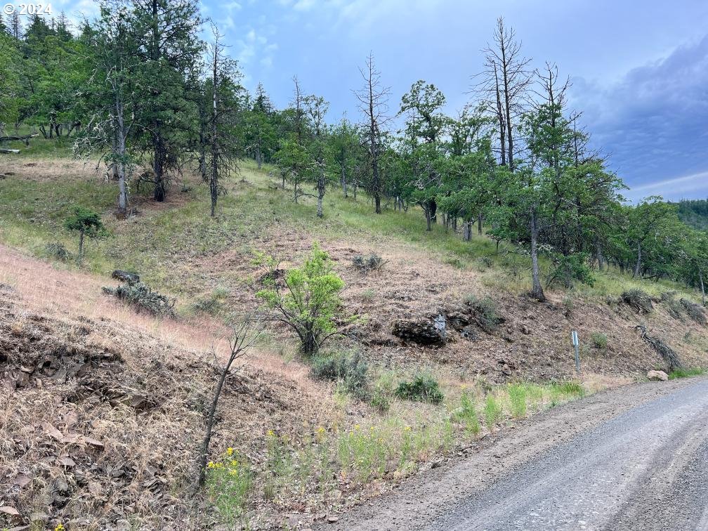 0 Taylor Grade Road Maupin, OR 97037 - Photo 18 of 21 Gallery Image 18