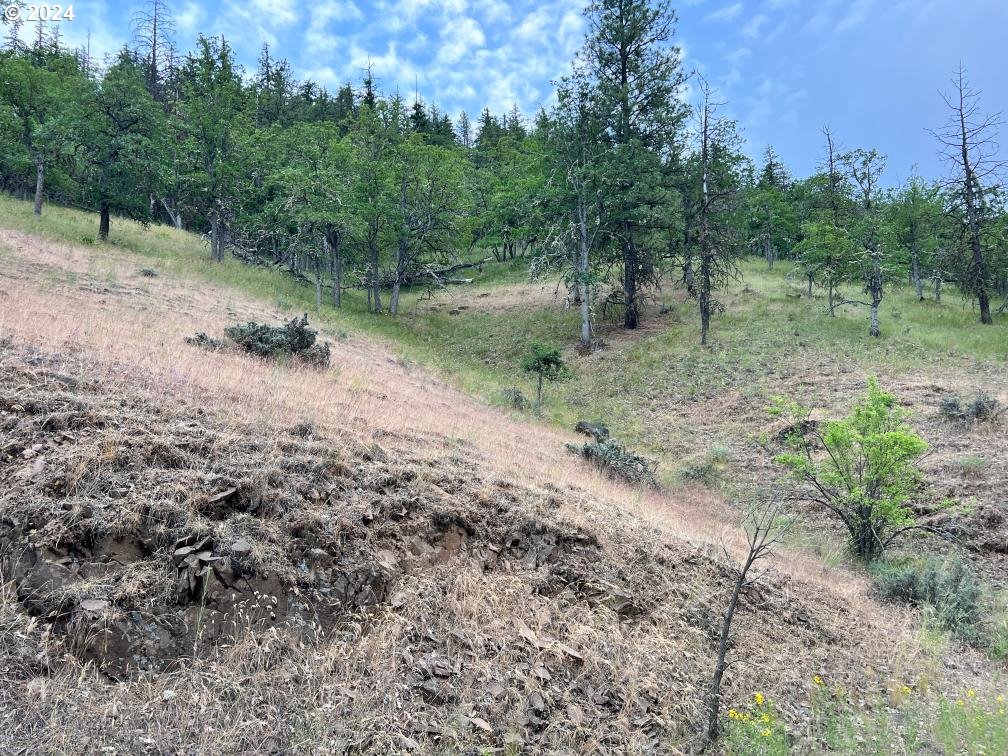0 Taylor Grade Road Maupin, OR 97037 - Photo 19 of 21 Gallery Image 19
