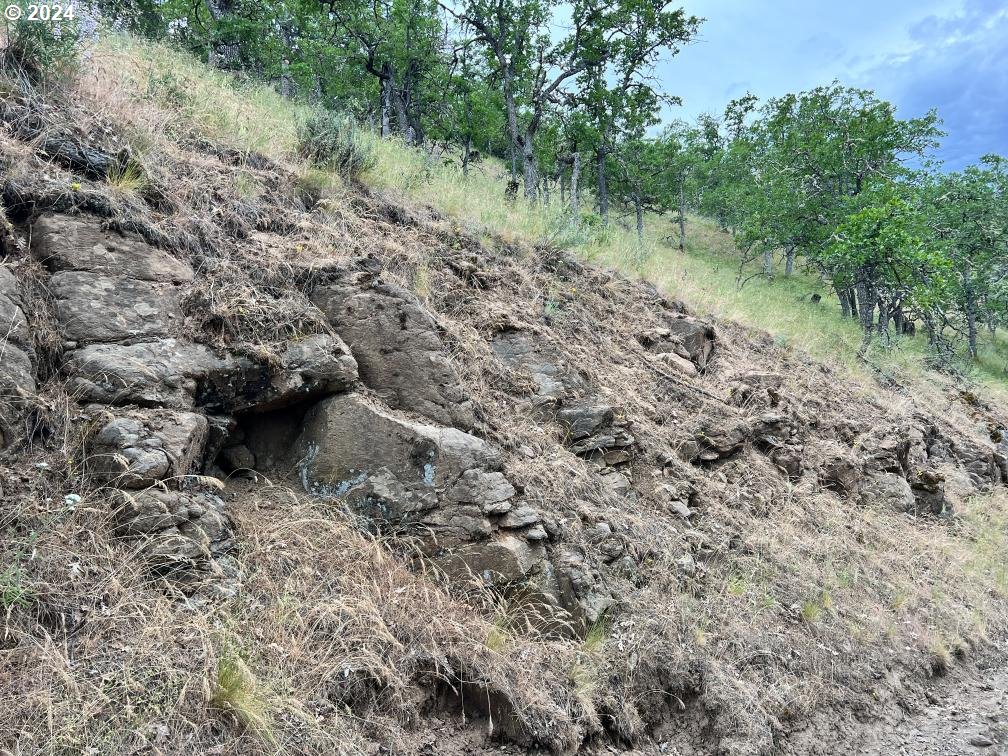 0 Taylor Grade Road Maupin, OR 97037 - Photo 20 of 21 Gallery Image 20