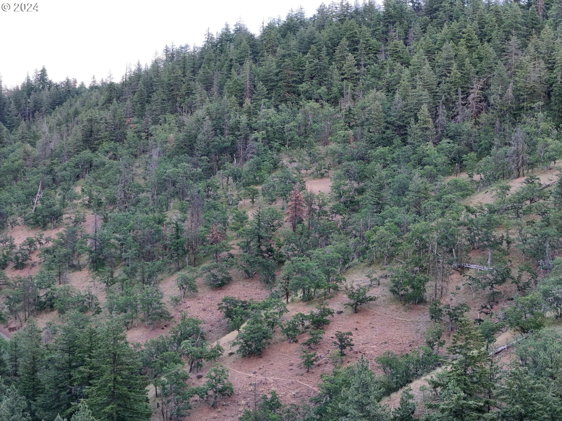 0 Taylor Grade Road Maupin, OR 97037 - Photo 2 of 21 Gallery Image 2
