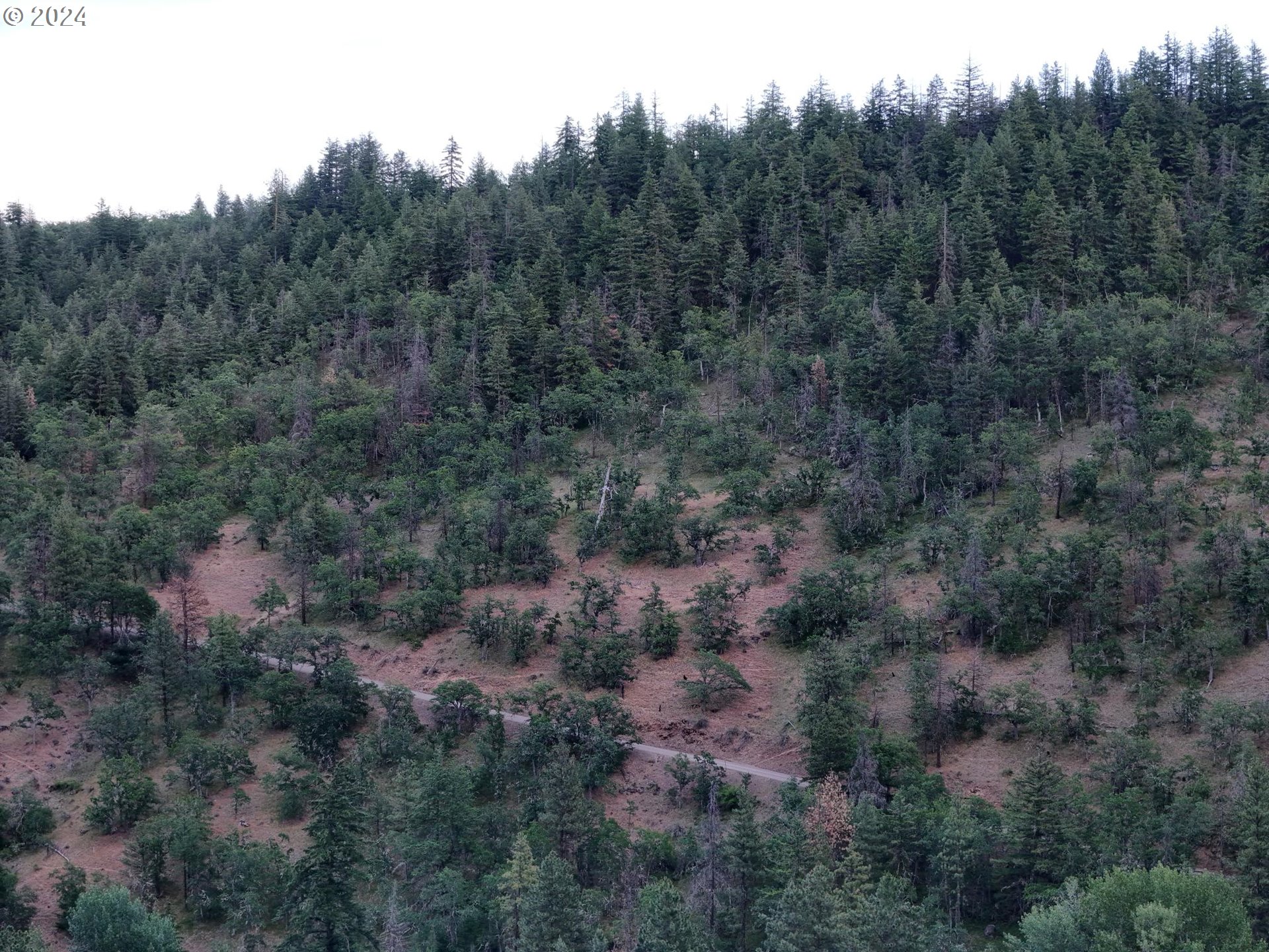 0 Taylor Grade Road Maupin, OR 97037 - Photo 4 of 21 Gallery Image 4