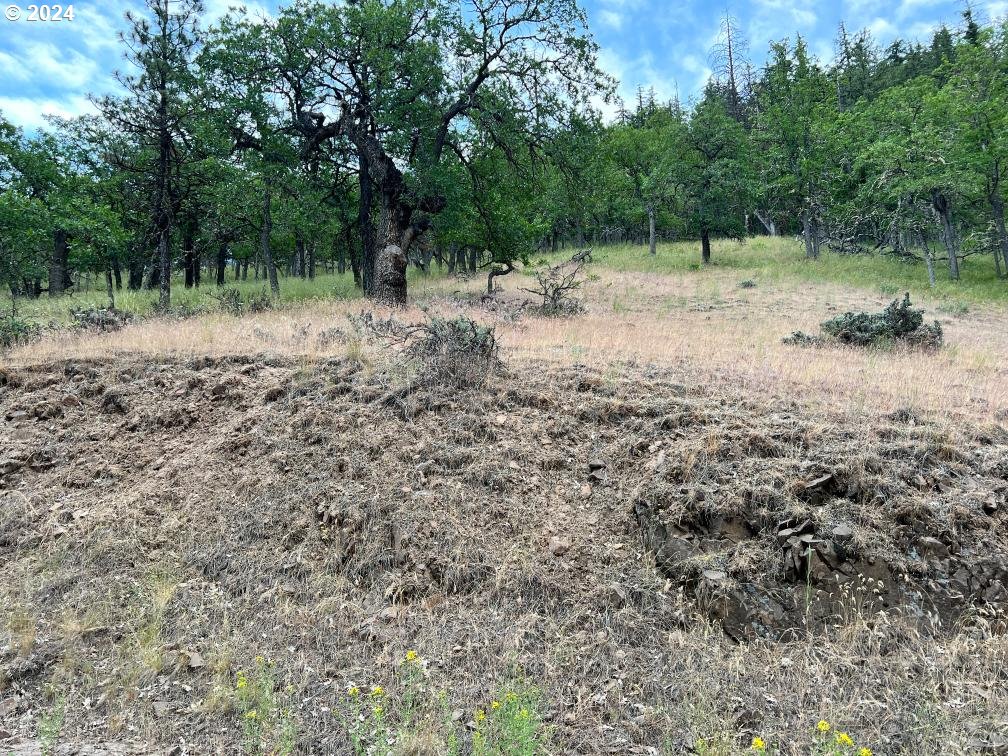 0 Taylor Grade Road Maupin, OR 97037 - Photo 5 of 21 Gallery Image 5