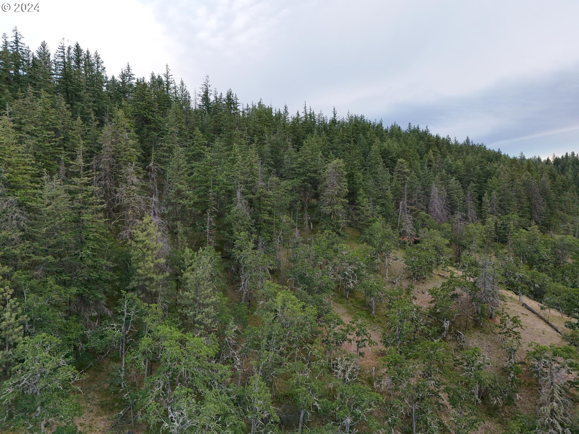 0 Taylor Grade Road Maupin, OR 97037 - Photo 6 of 21 Gallery Image 6