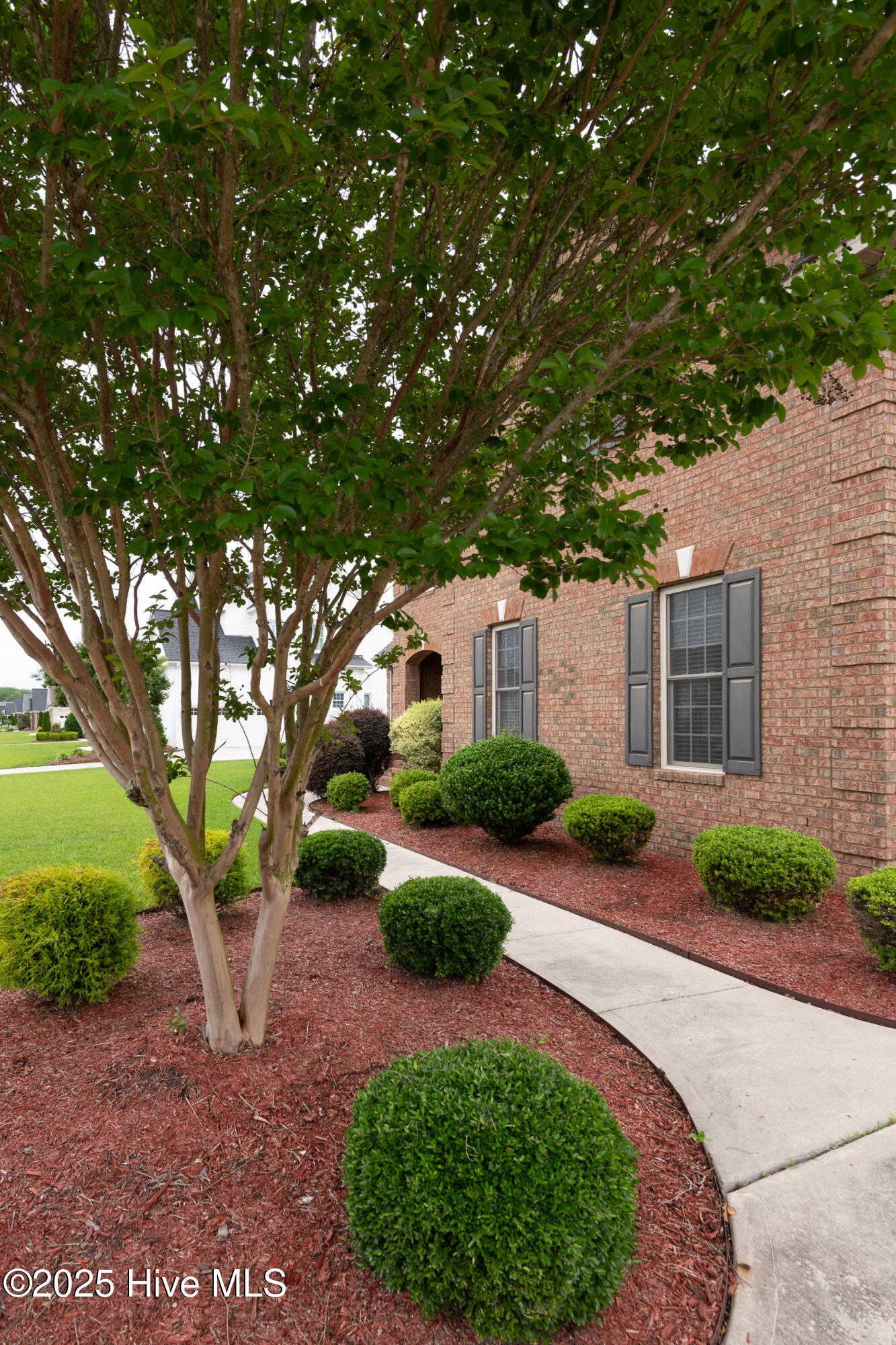 3925 Dunhagan Road Greenville, NC 27858 - Photo 8 of 64 3925_Dunhagan-7