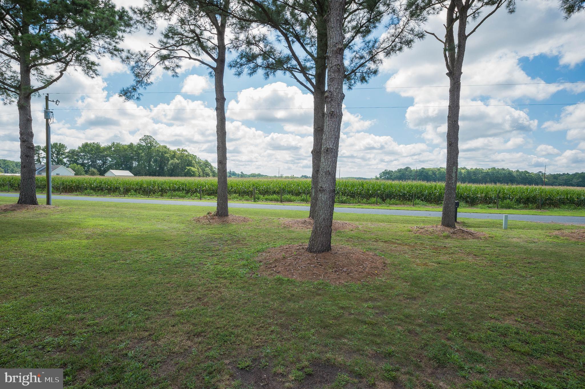 36820 3 Bridges Road Willards, MD 21874 - Photo 29 of 37