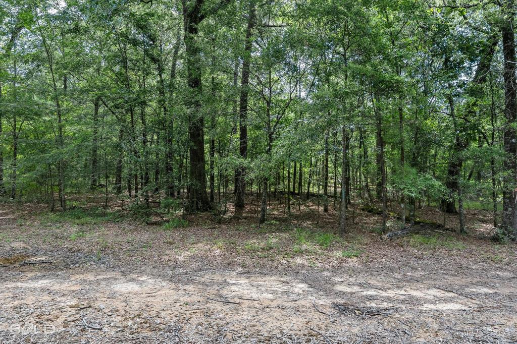 470 Pine Hill Road Elm Grove, LA 71051 - Photo 7 of 21