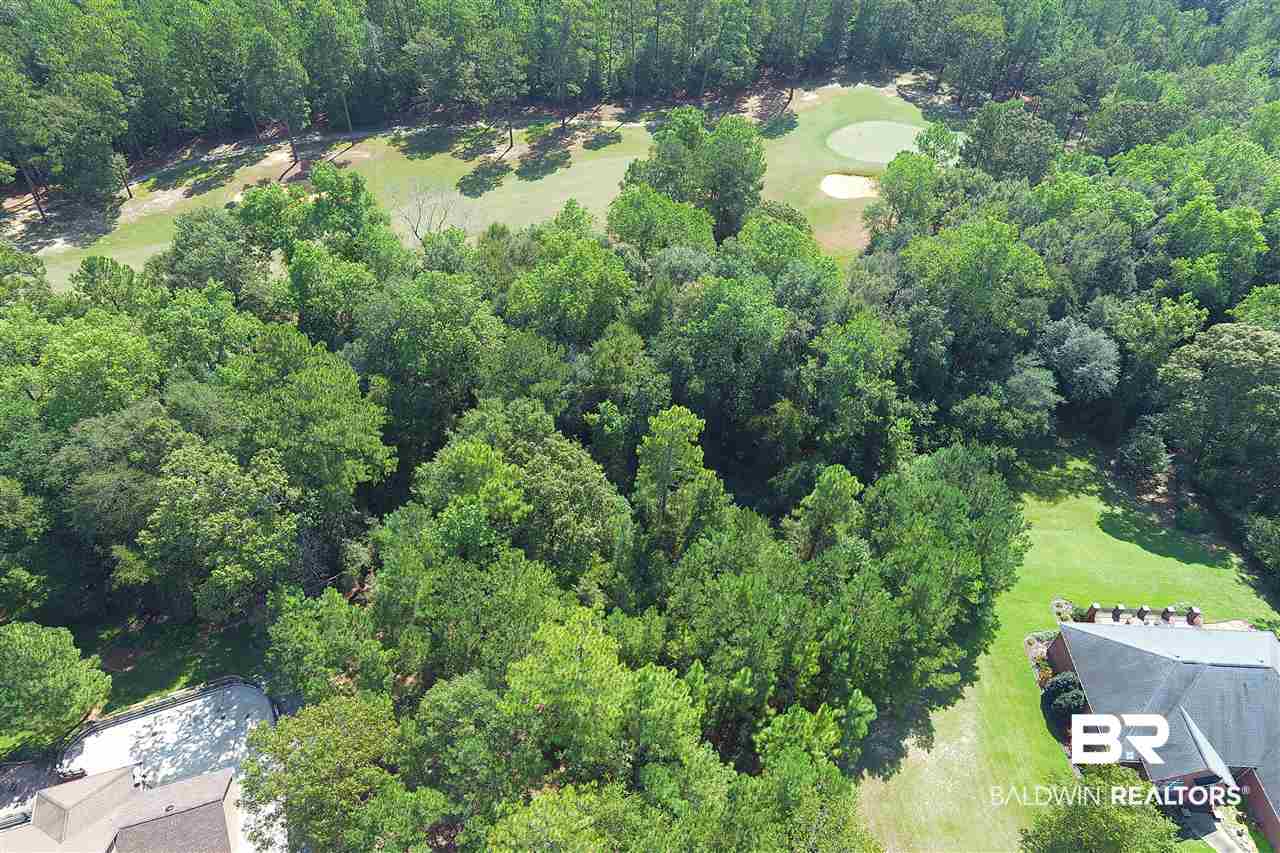 41 Juniper Creek Road Castleberry, AL 36432 - Photo 2 of 10