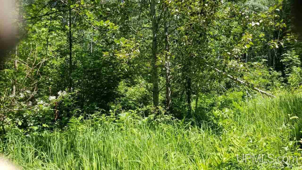 Tbd Parks Farm Road, Unit LOT #2 4 29 ACRES Iron River, MI 49935 - Photo 5 of 12