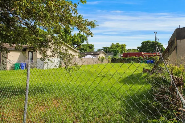 a view of a yard with plants and large trees