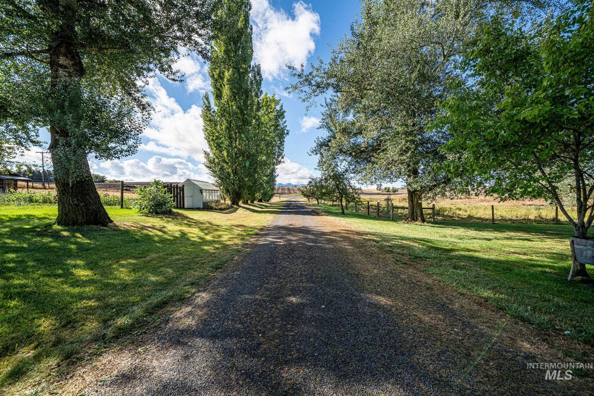 67 Jessup Road Grangeville, ID 83530 - Photo 2 of 49 Gravel driveway bordered by manicured lawns, mature trees, a greenhouse structure, and a fenced perimeter