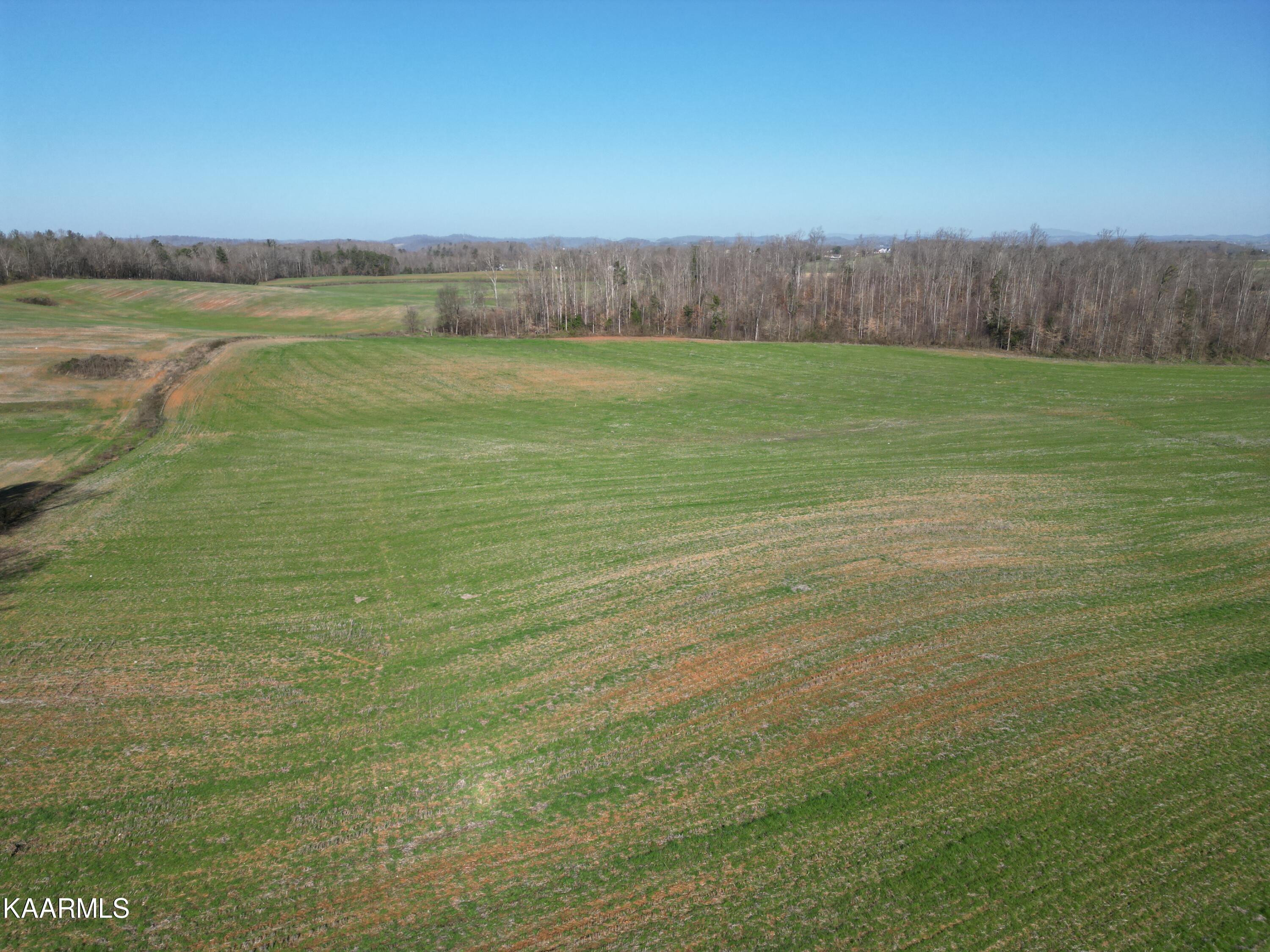 0 Jerry Broyles Road Chuckey, TN 37641 - Photo 11 of 23 DJI_0515