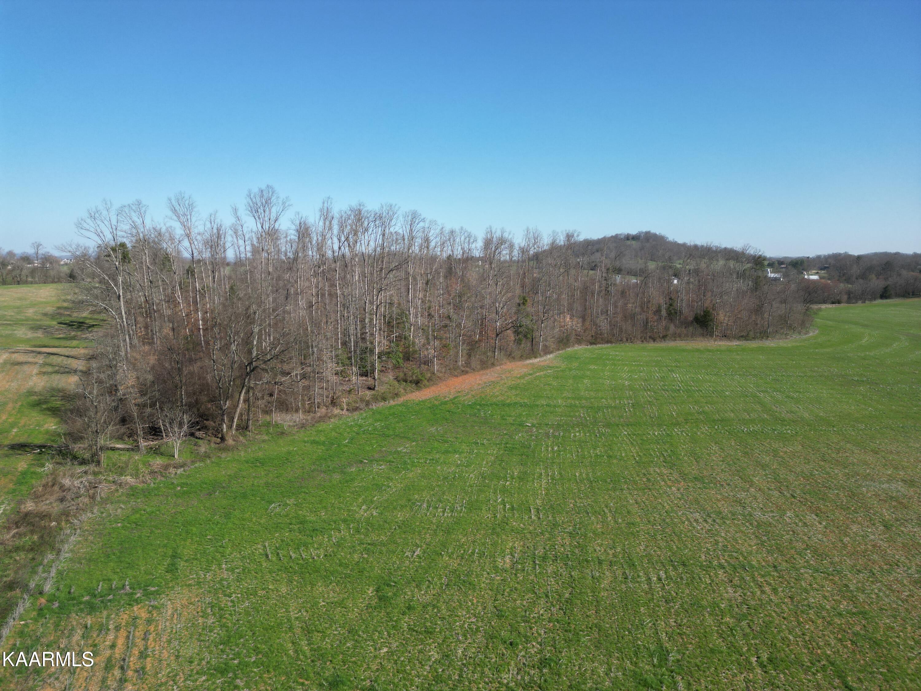 0 Jerry Broyles Road Chuckey, TN 37641 - Photo 13 of 23 DJI_0513