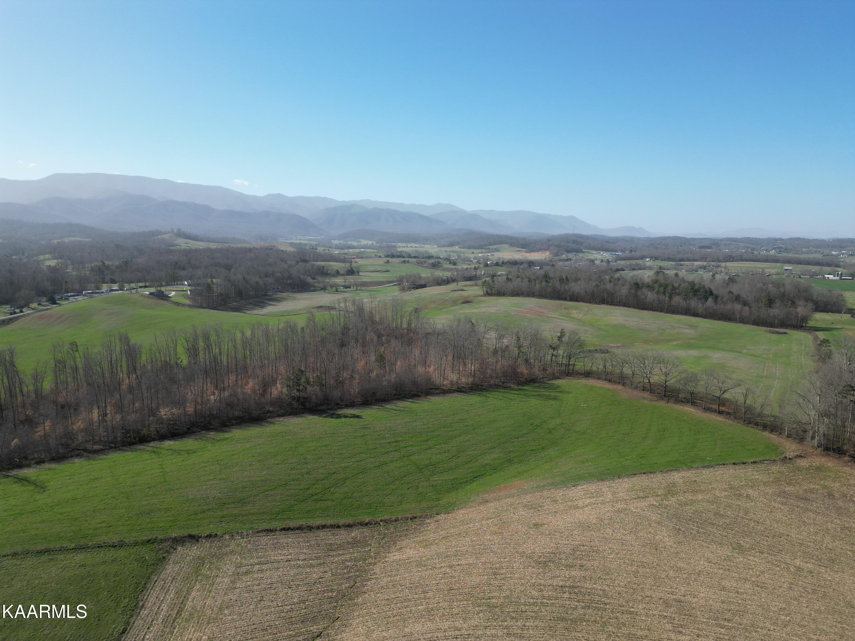 0 Jerry Broyles Road Chuckey, TN 37641 - Photo 20 of 23 DJI_0504