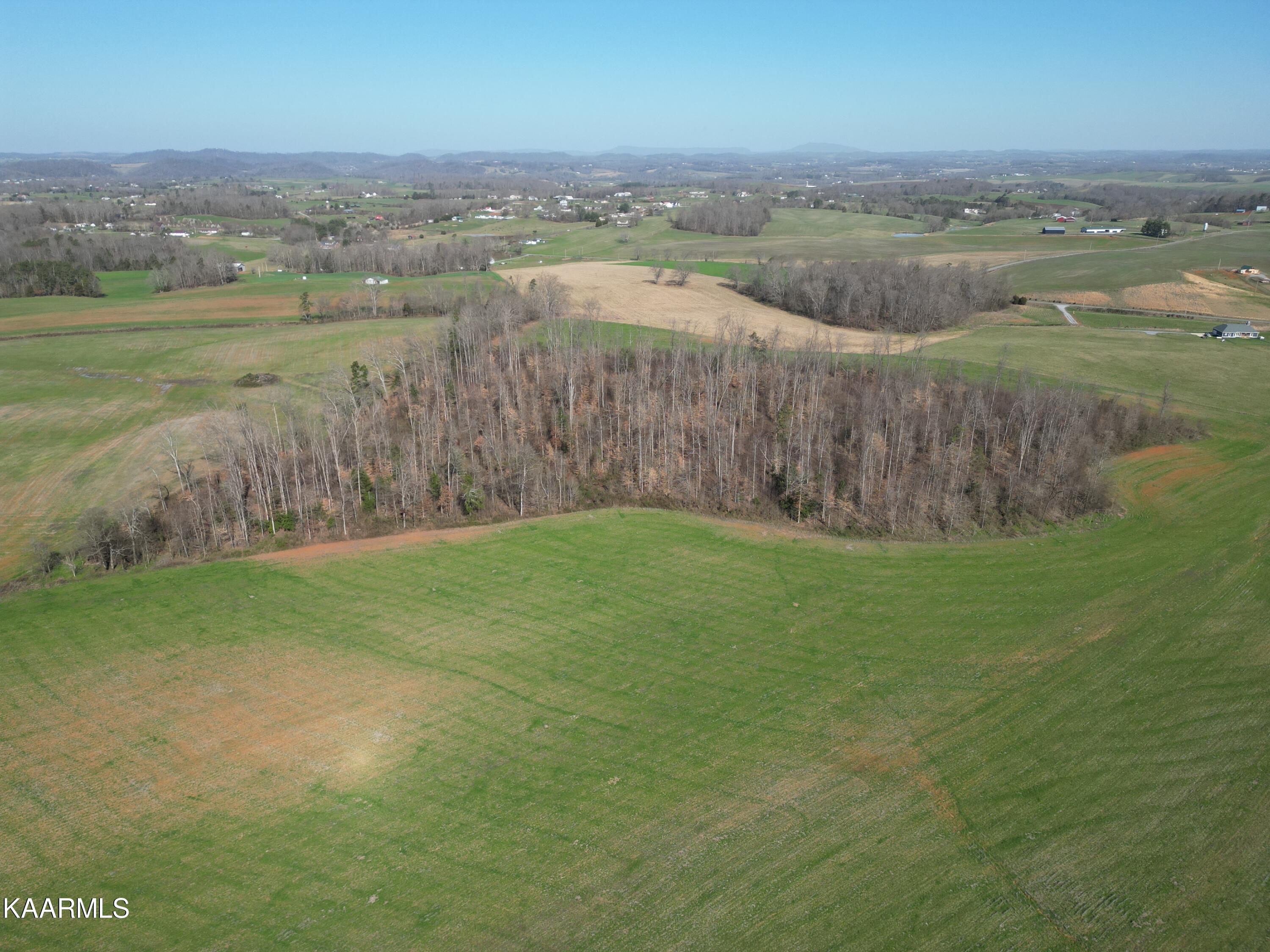 0 Jerry Broyles Road Chuckey, TN 37641 - Photo 4 of 23 DJI_0530