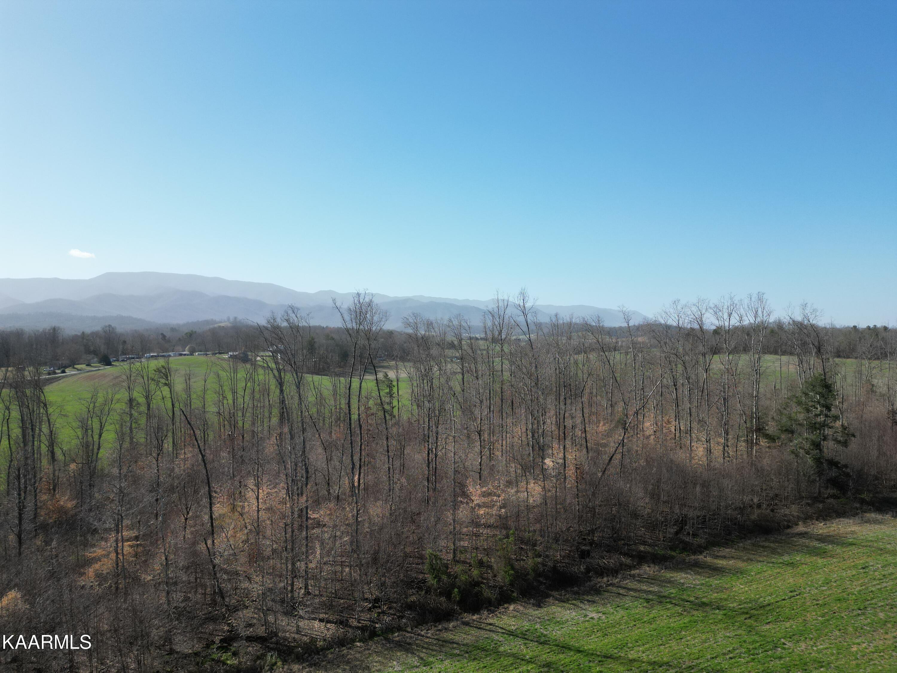 0 Jerry Broyles Road Chuckey, TN 37641 - Photo 6 of 23 DJI_0524