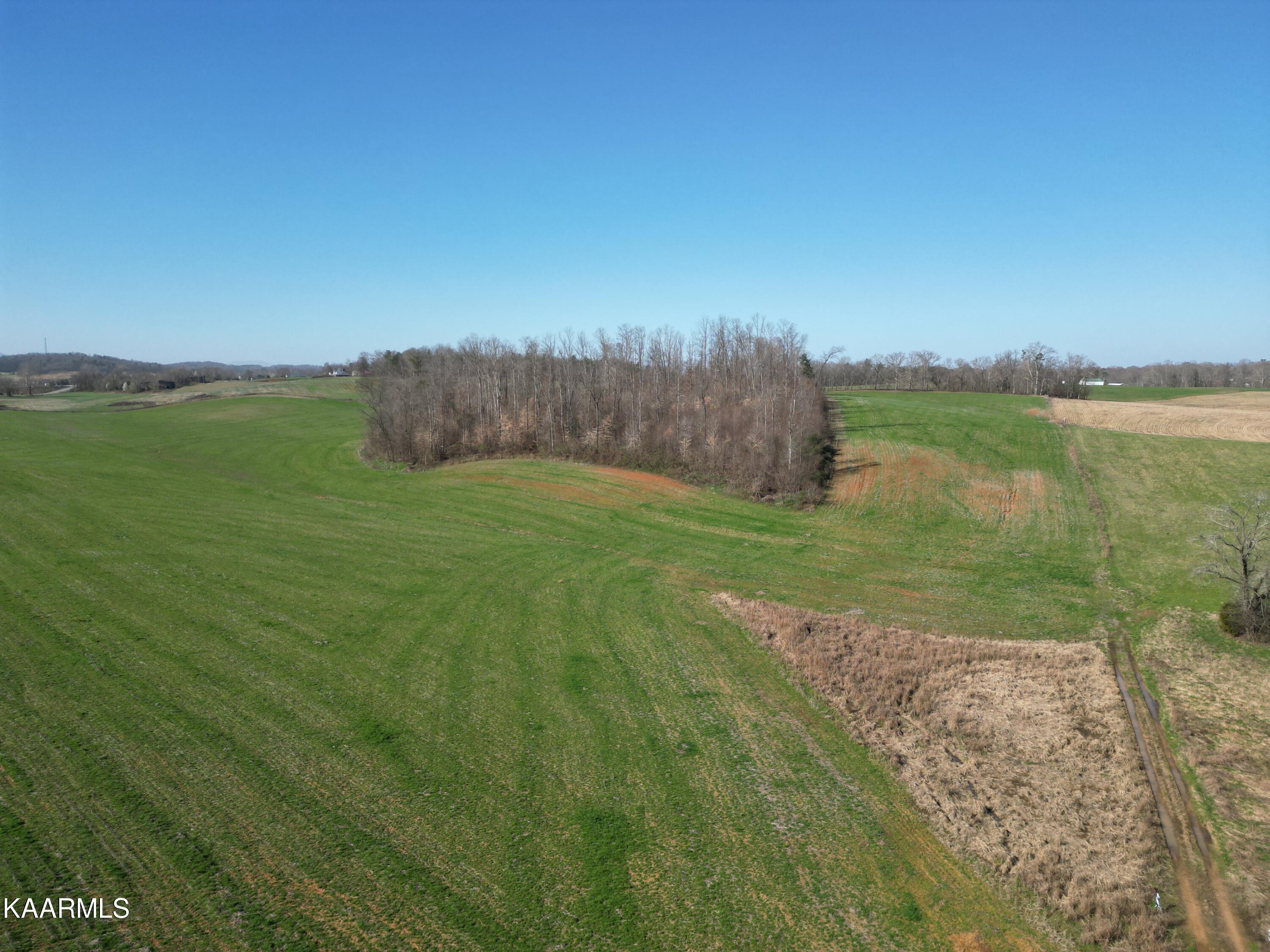 0 Jerry Broyles Road Chuckey, TN 37641 - Photo 9 of 23 DJI_0519