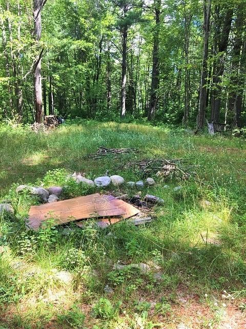 174 Holtz Road Mio, MI 48647 - Photo 24 of 36 Gallery Image 24