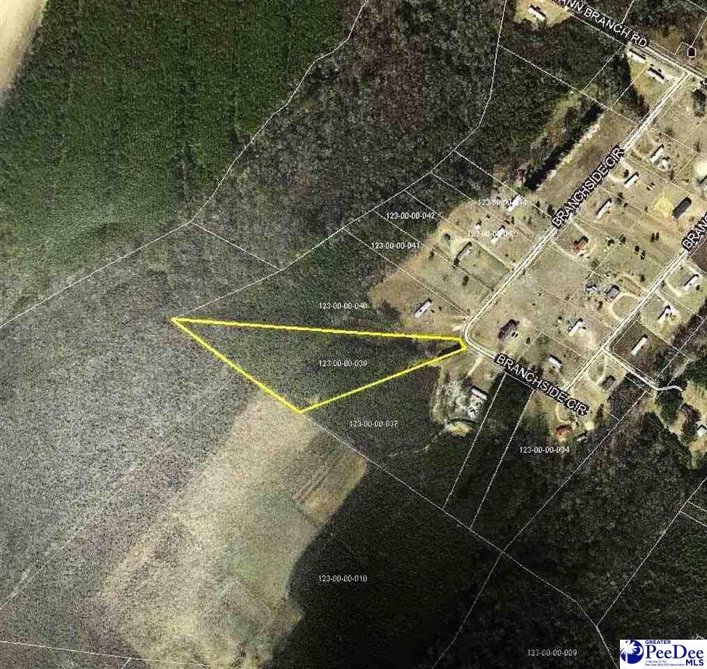 Tbd Branchside Circle Lake View, SC 29563 - Photo 1 of 1 Gallery Image 1
