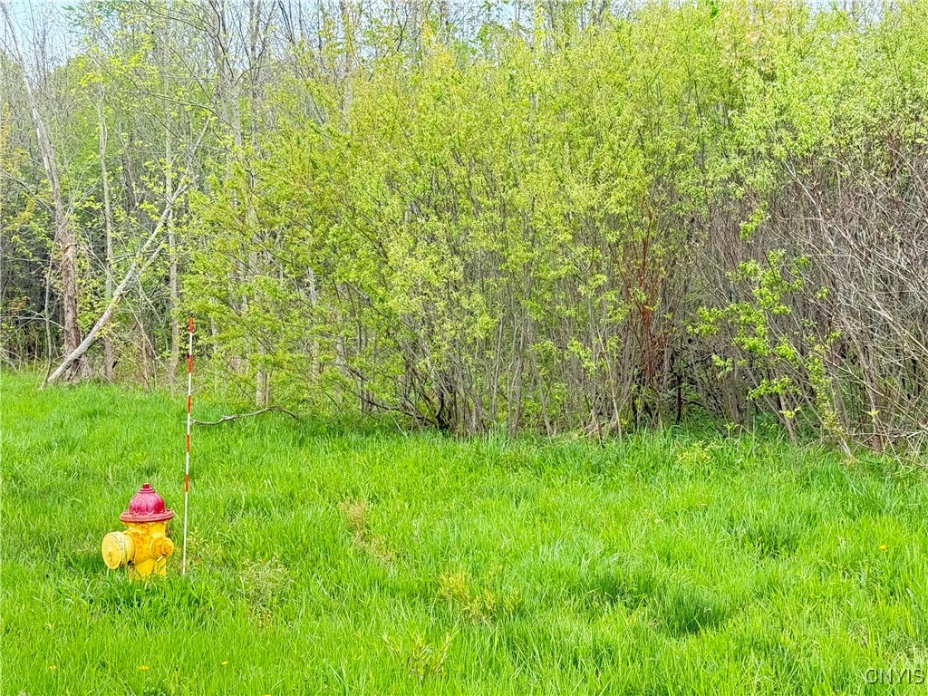 0 Klocks Corners Road Oswego, NY 13126 - Photo 3 of 20