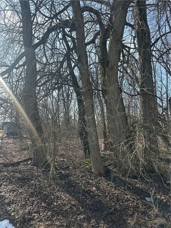0 3rd Street Midway, PA 15060 - Photo 4 of 5 a big tree in the middle of the forest