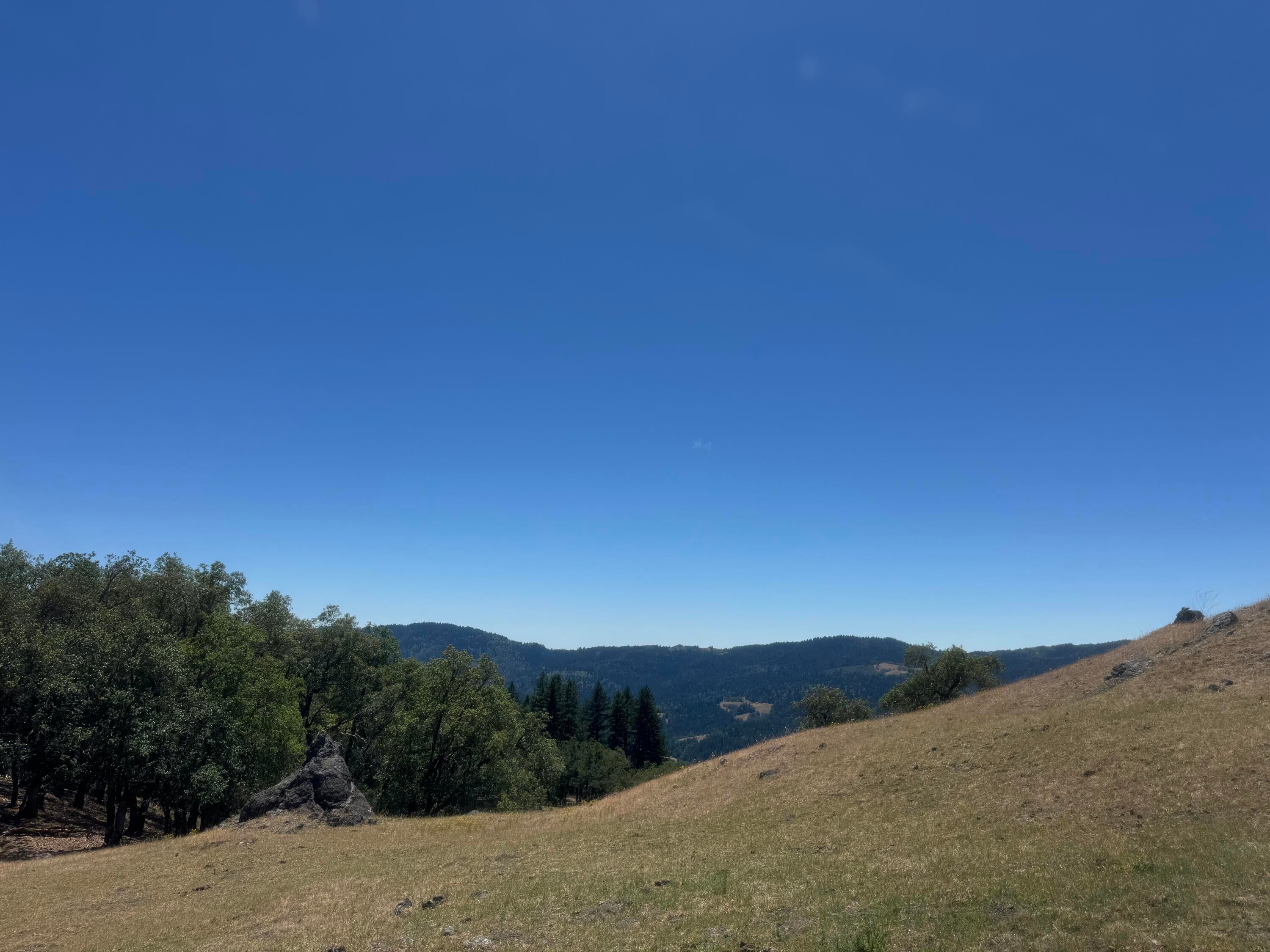 12575 Buck Mountain Road Bridgeville, CA 95526 - Photo 29 of 30 Gallery Image 29