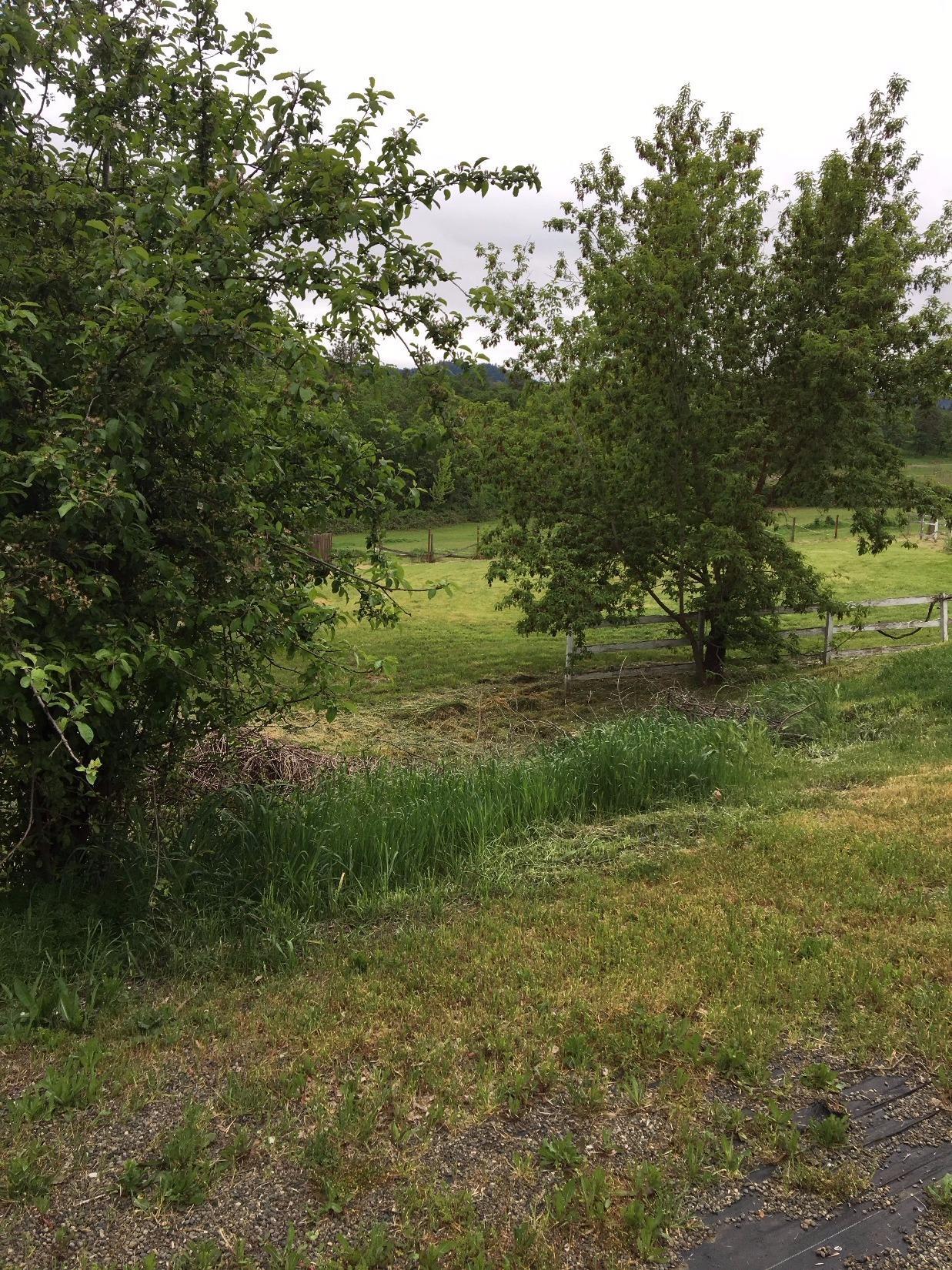 2917 Camp Baker Road Medford, OR 97501 - Photo 26 of 26 Additional Photo