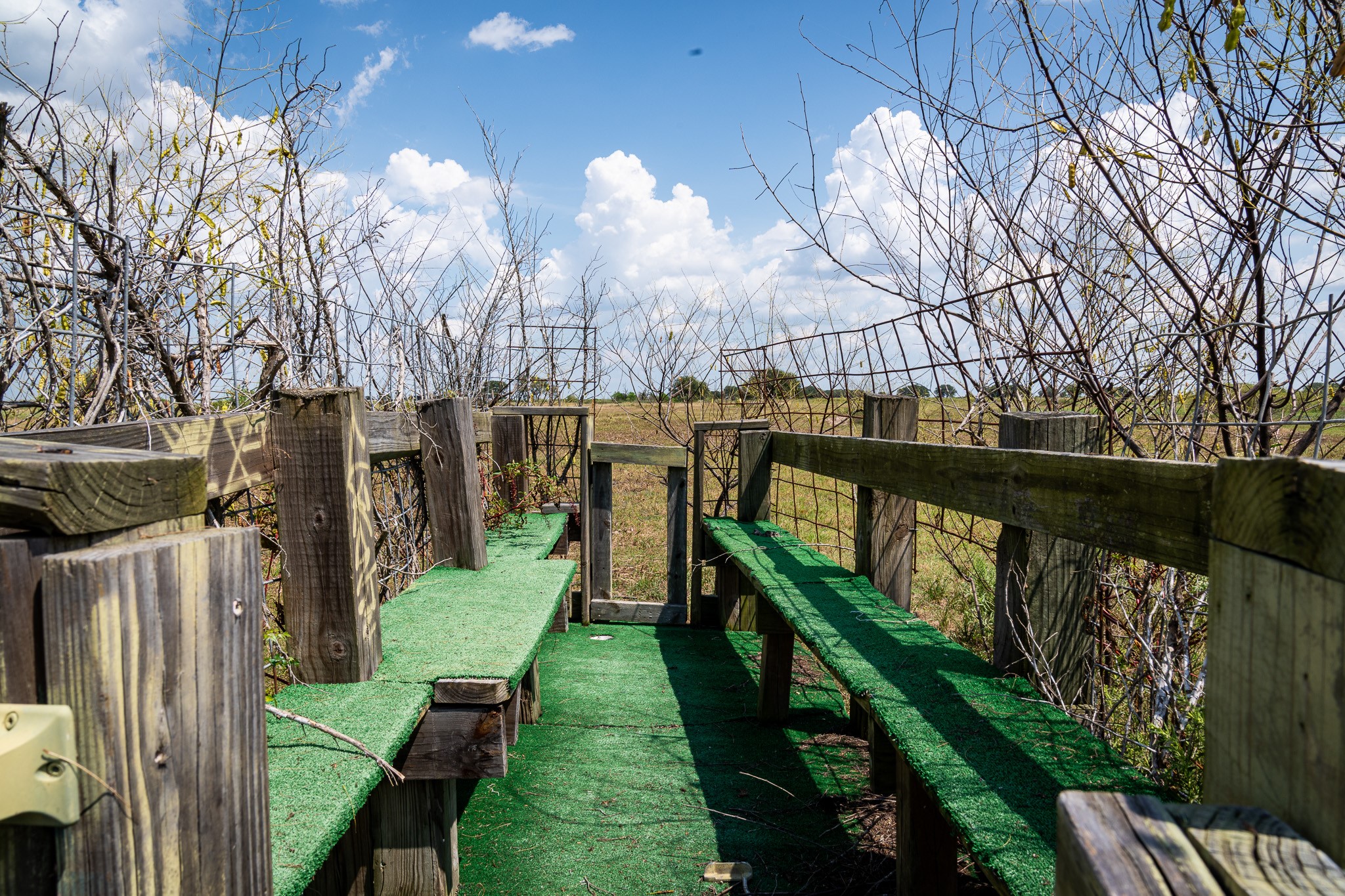 106 Cr 106 Road Rock Island, TX 77470 - Photo 14 of 29