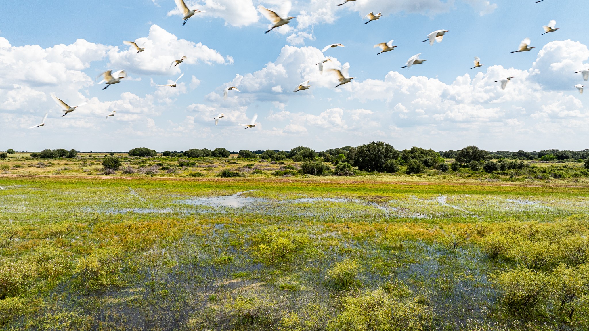 106 Cr 106 Road Rock Island, TX 77470 - Photo 3 of 29