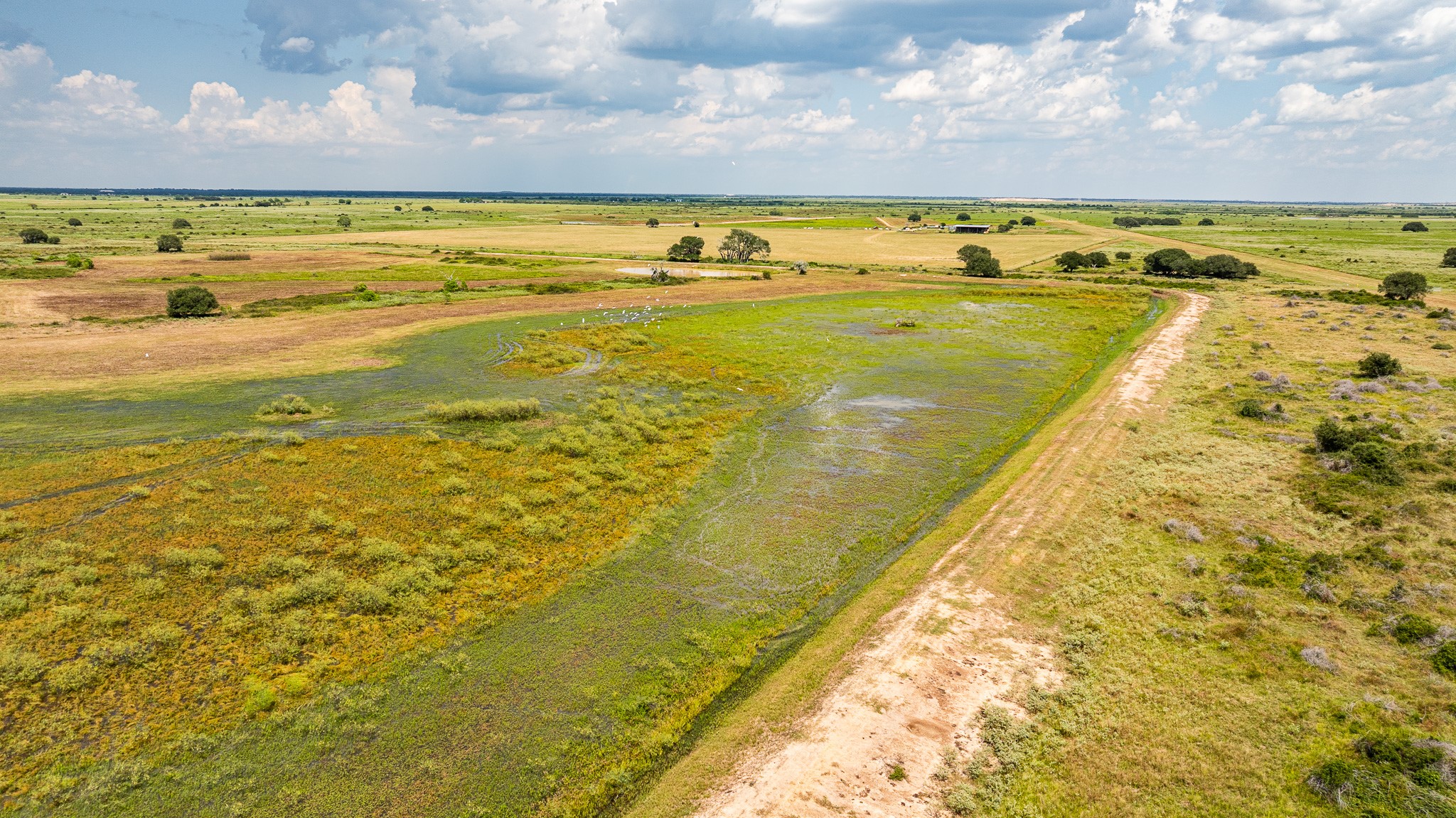 106 Cr 106 Road Rock Island, TX 77470 - Photo 5 of 29
