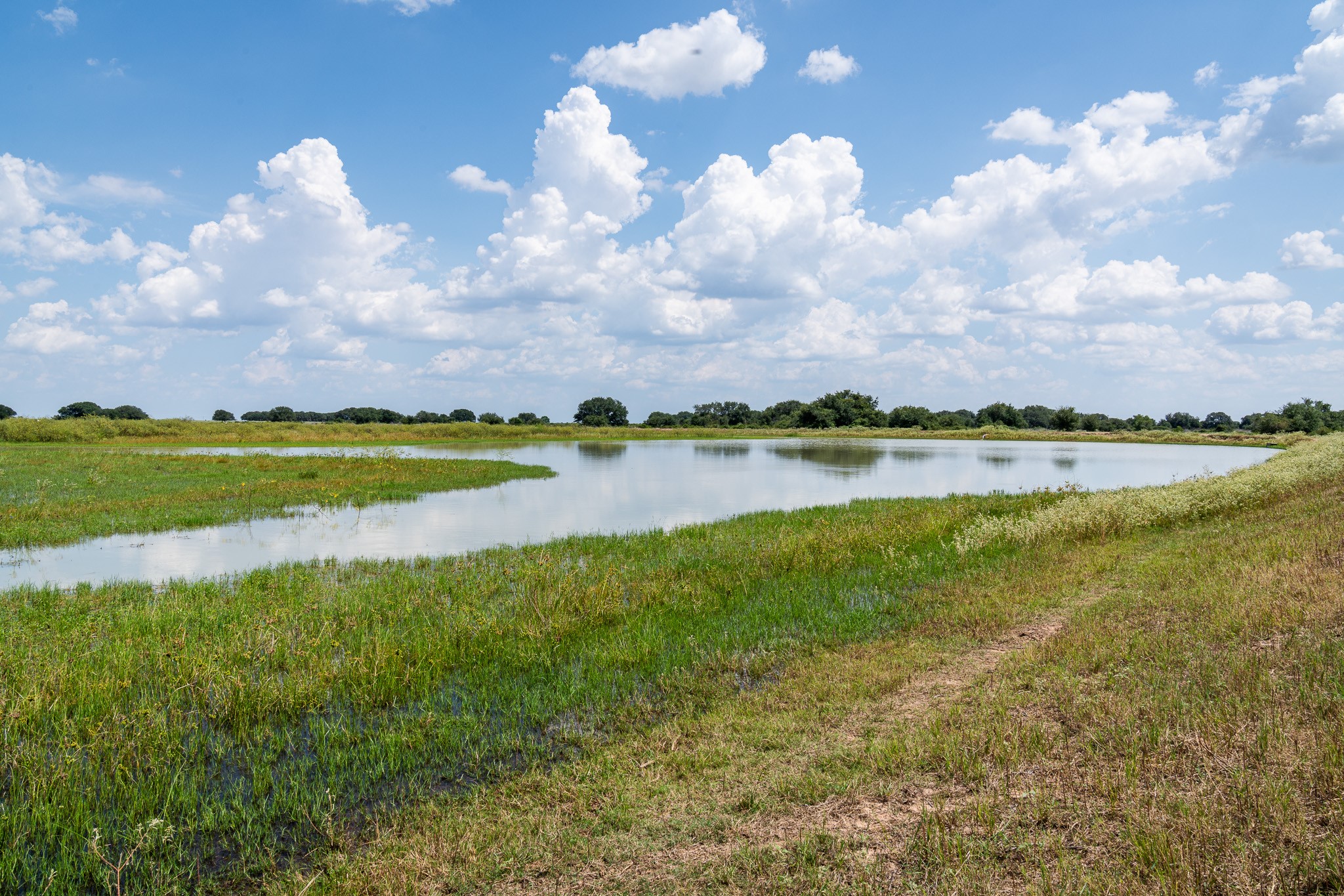 106 Cr 106 Road Rock Island, TX 77470 - Photo 10 of 29 a view of a lake with houses in the back