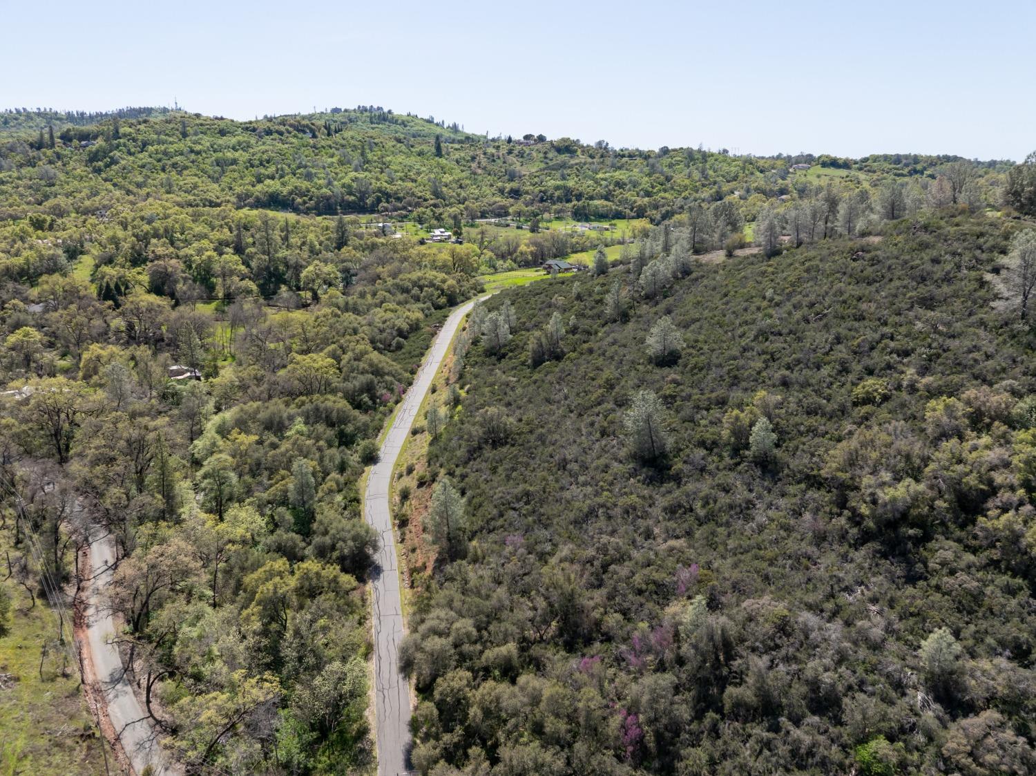 1000 Jurgens Road Rescue, CA 95672 - Photo 8 of 23 a view of a city with lush green forest