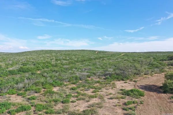 a view of a field with an trees
