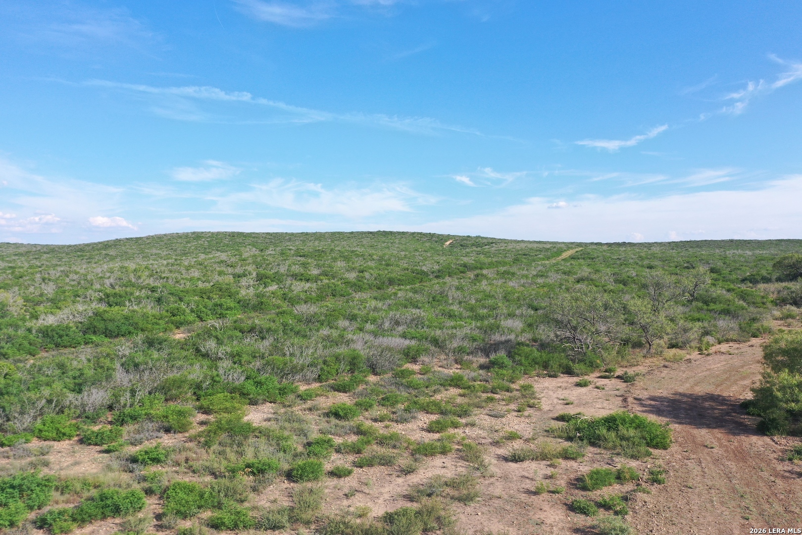 a view of a field with an trees