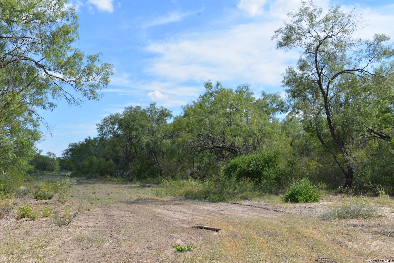 0 Fm 140 Pearsall, TX 78061 - Photo 13 of 28 a view of a field with trees in background