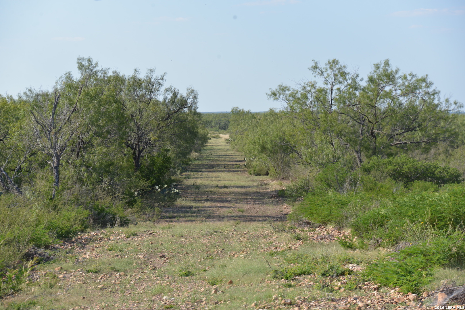 0 Fm 140 Pearsall, TX 78061 - Photo 16 of 28 a view of pathway with house in background