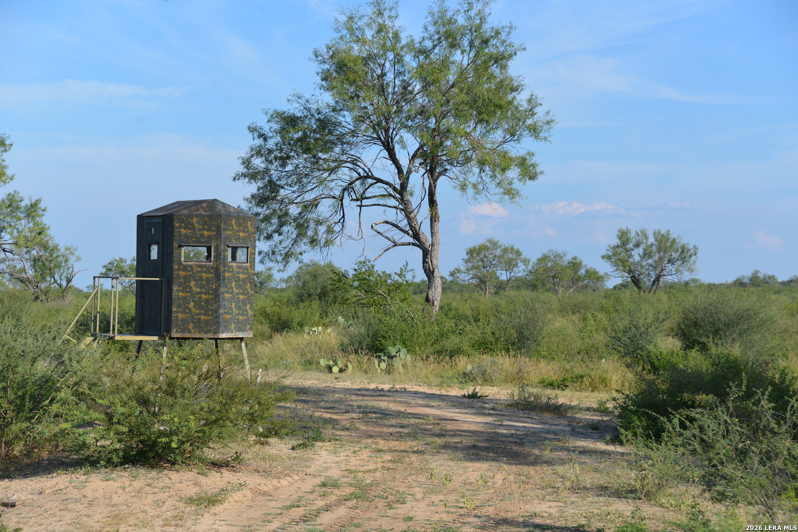 0 Fm 140 Pearsall, TX 78061 - Photo 18 of 28 a front view of a house with a yard and large trees