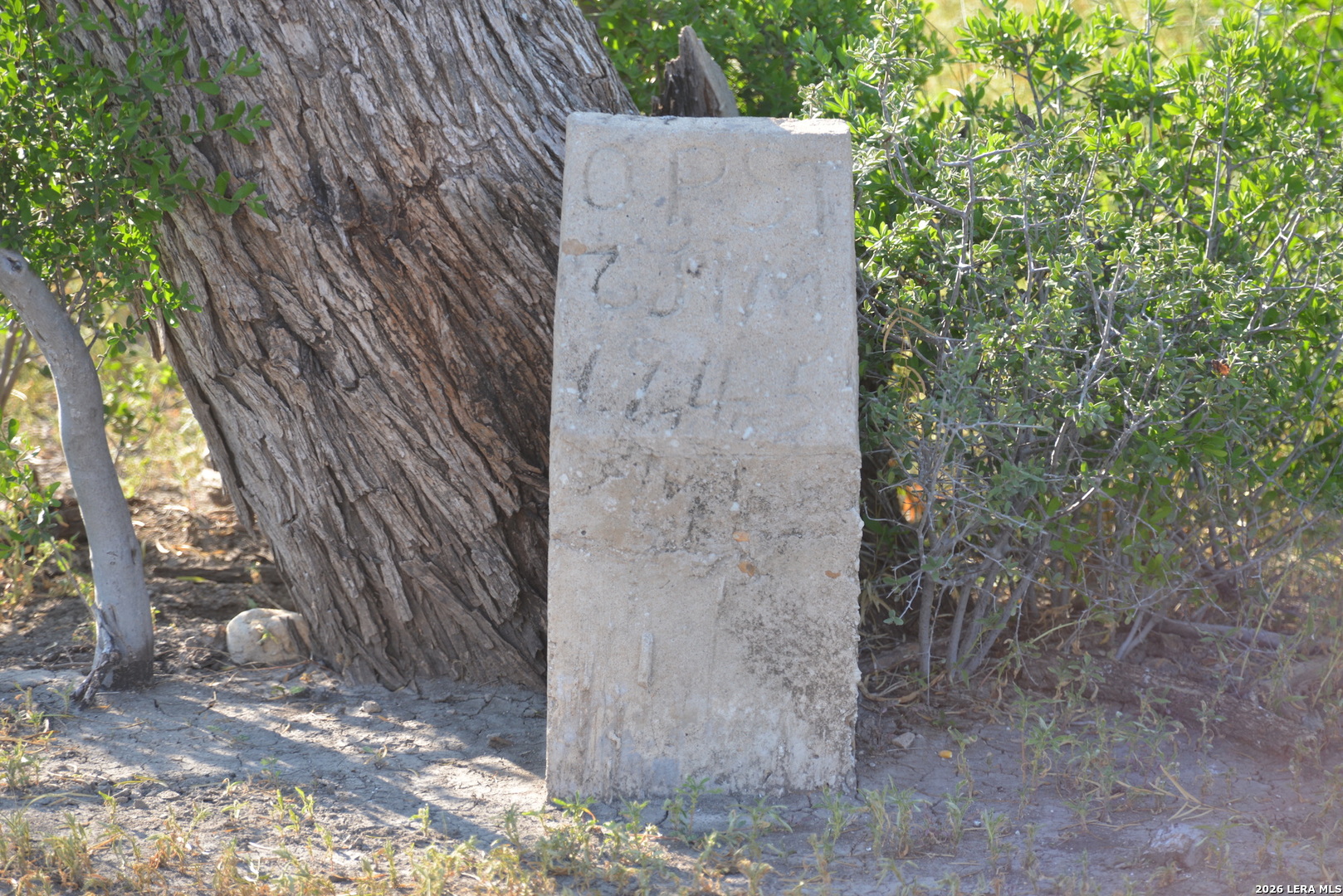 0 Fm 140 Pearsall, TX 78061 - Photo 20 of 28 a view of a pathway of a house