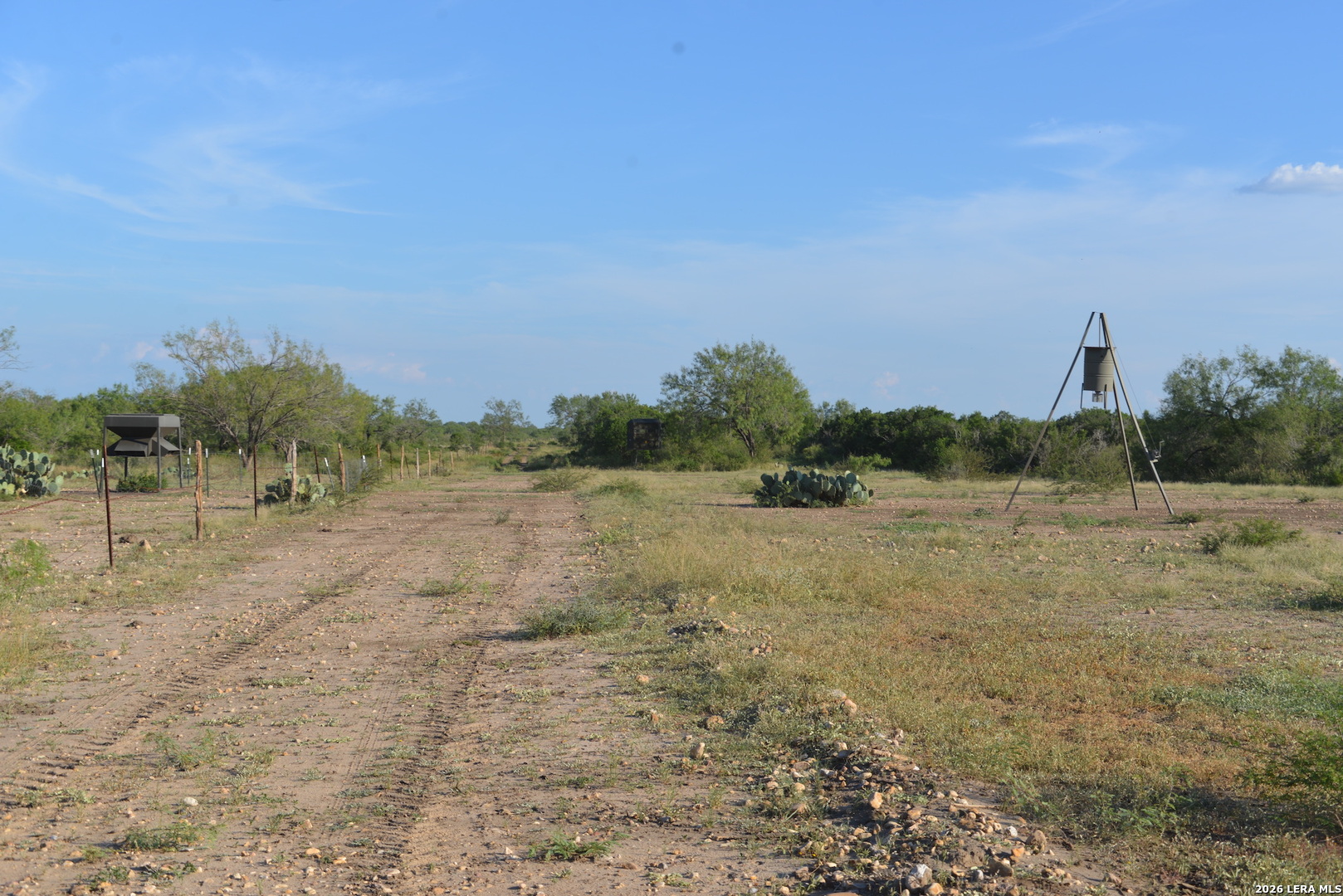0 Fm 140 Pearsall, TX 78061 - Photo 21 of 28 a view of a field with trees in background