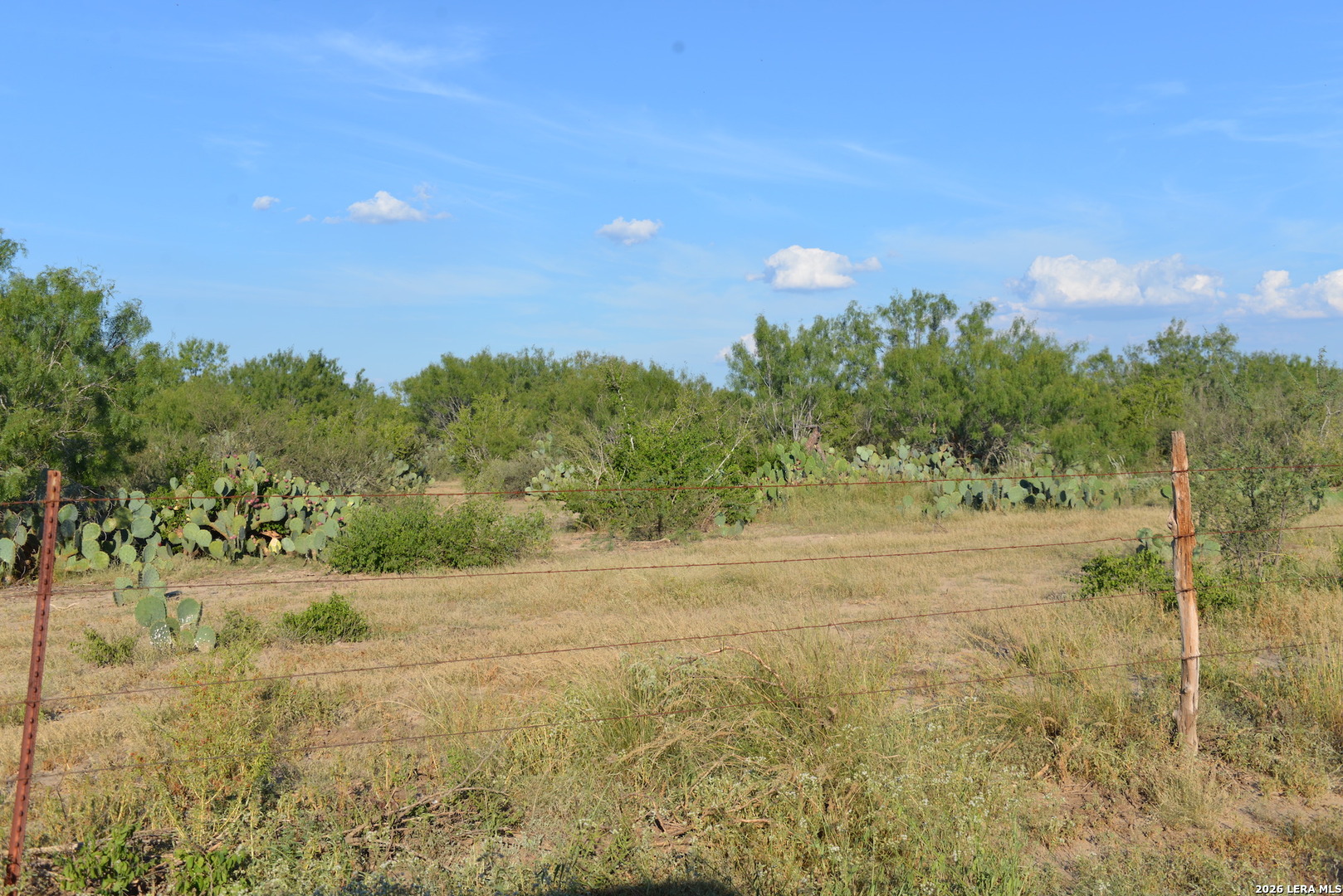 0 Fm 140 Pearsall, TX 78061 - Photo 22 of 28 a view of a field with trees in background