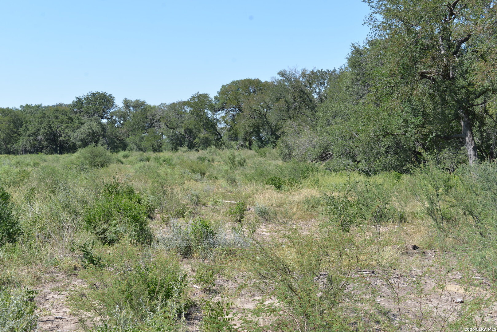 0 Fm 140 Pearsall, TX 78061 - Photo 23 of 28 a view of a field of grass and trees