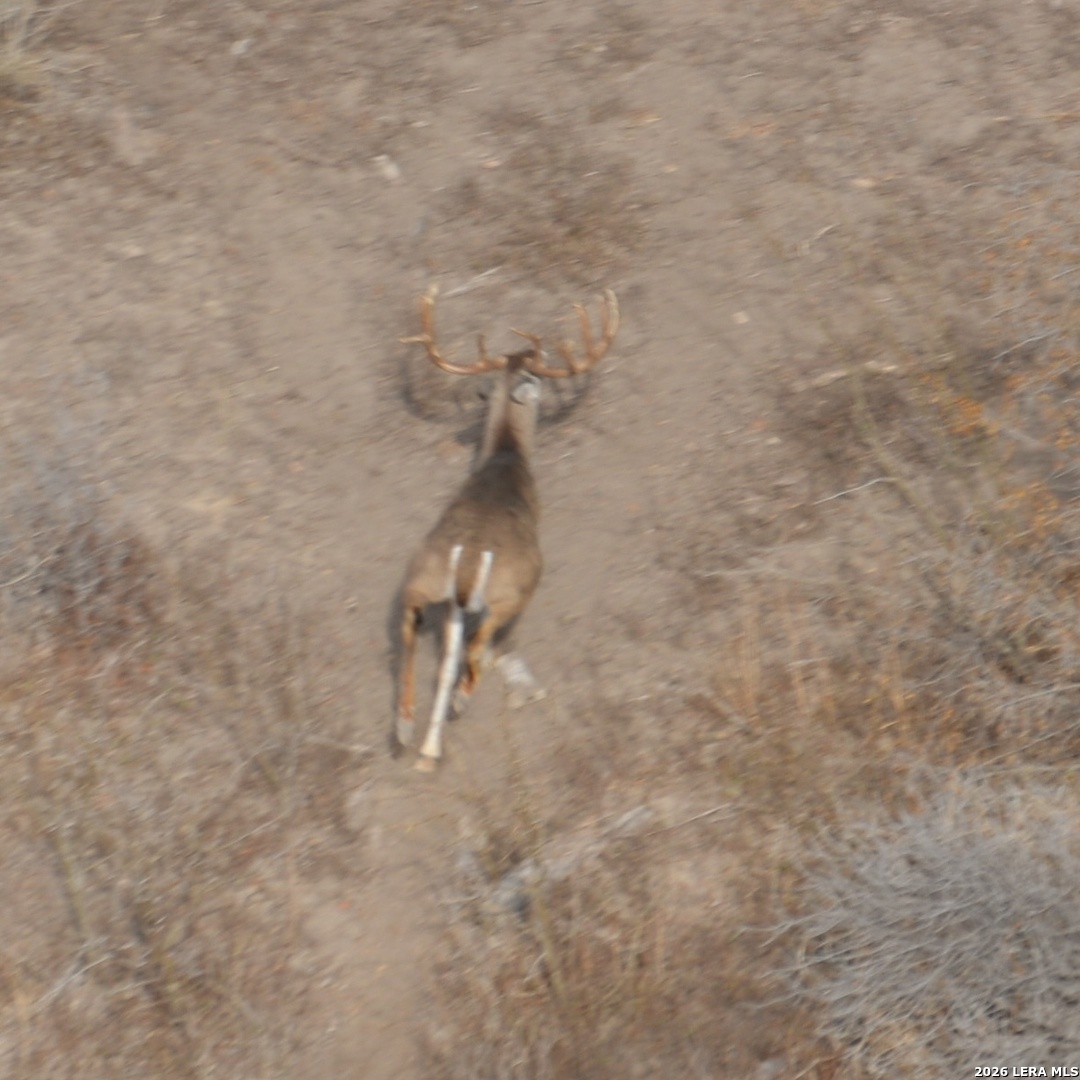 0 Fm 140 Pearsall, TX 78061 - Photo 24 of 28 a bathroom with a shower