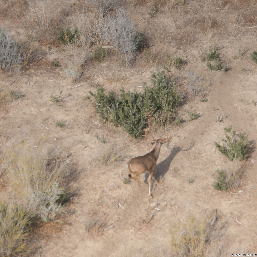 0 Fm 140 Pearsall, TX 78061 - Photo 25 of 28 a view of a yard with trees