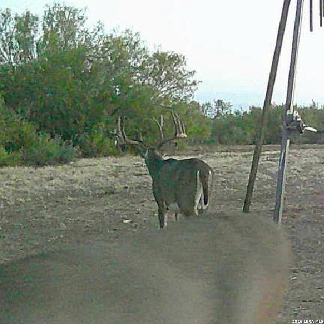 0 Fm 140 Pearsall, TX 78061 - Photo 26 of 28 a view of a lake with a table and chairs