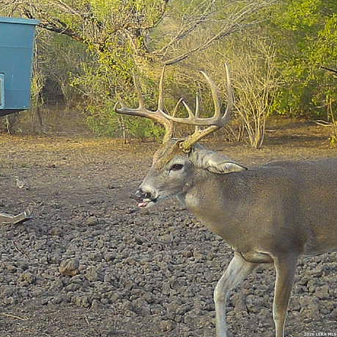 0 Fm 140 Pearsall, TX 78061 - Photo 27 of 28
