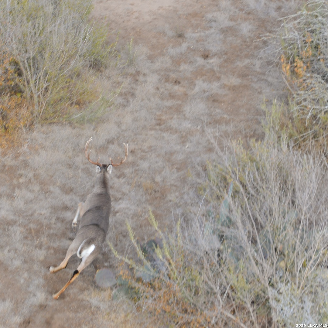 0 Fm 140 Pearsall, TX 78061 - Photo 28 of 28 a view of a dry yard