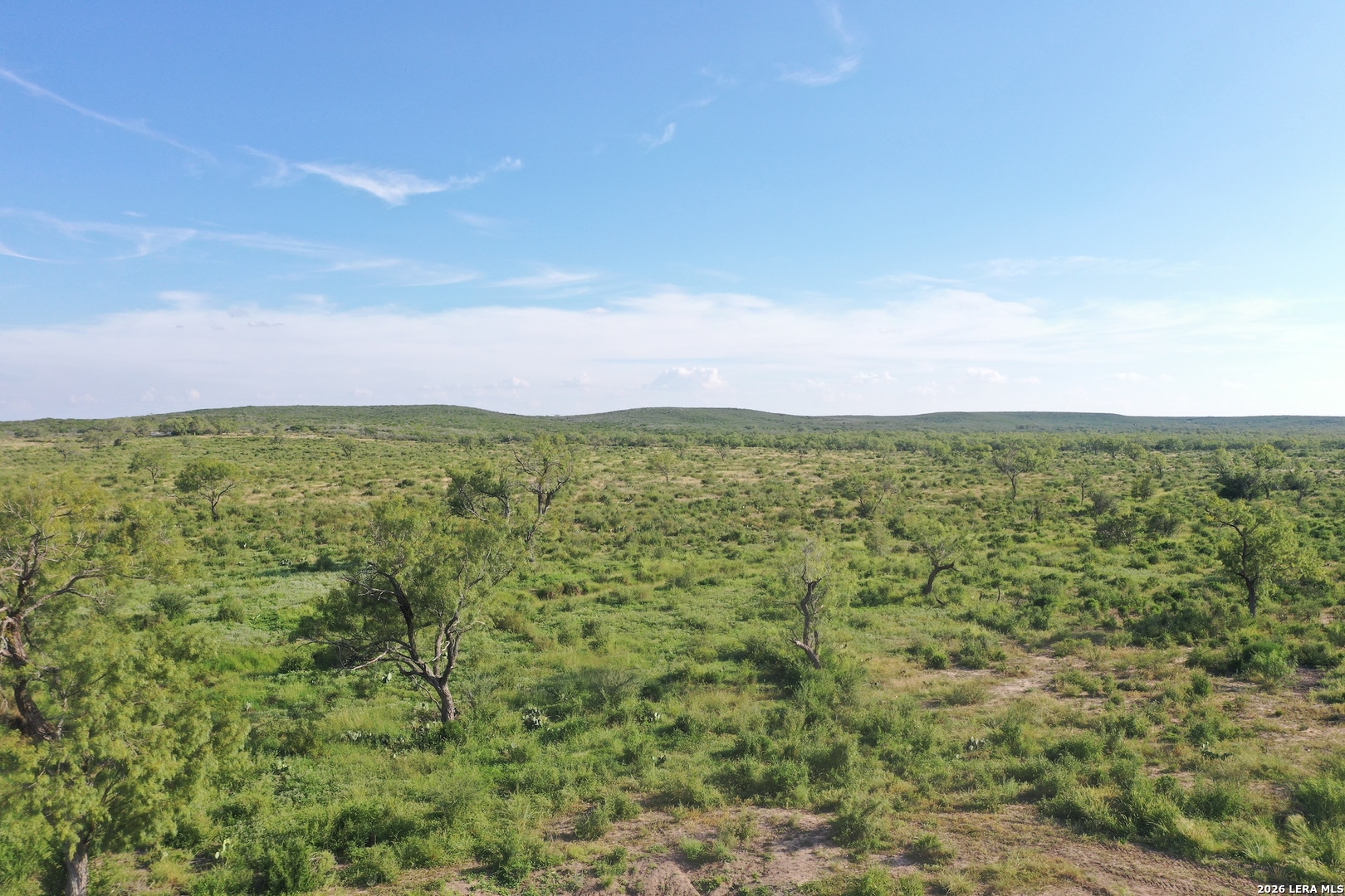 0 Fm 140 Pearsall, TX 78061 - Photo 7 of 28 a view of a big yard with lots of bushes