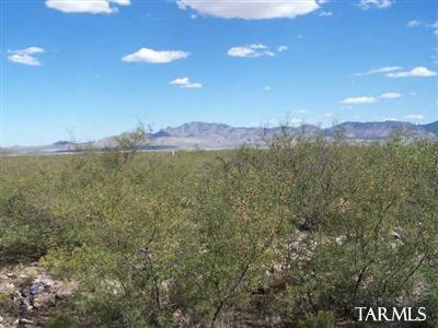 0 South Black Hawk Road San Simon, AZ 85632 - Photo 1 of 2