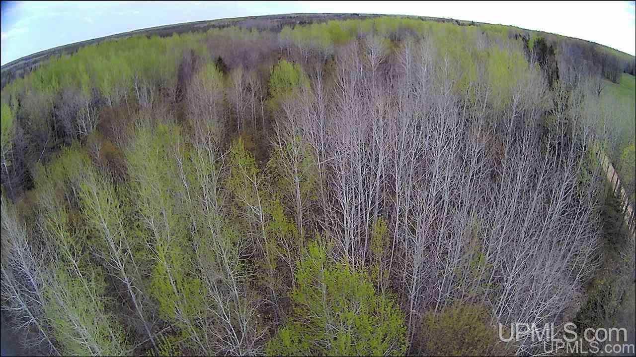 Tbd Tbd Co Road, Unit 1 Marquette, MI 49855 - Photo 22 of 50